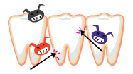 一般歯科 - 項目
